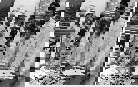 Islet Photo Researchers