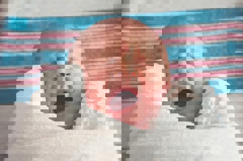 Tim Bish Wbc9xilqb4k Unsplash