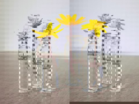 Elena G Wpeja22 Yxe Unsplash