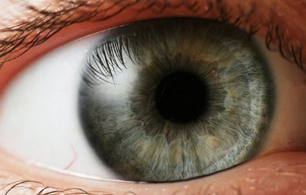 Iris 1280X856 Wikimedia Foto Petr Novak