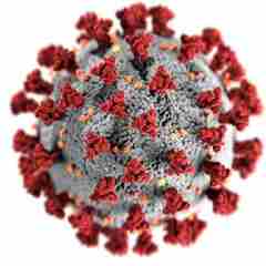 Koronavirus Pexels